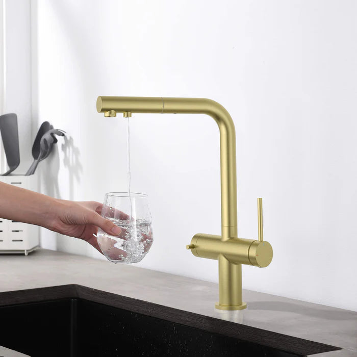 Casa Fixtures - Kitchen Faucet - Halo 2-in-1 Pull Out Kitchen Filtration Faucet (CFF-502)