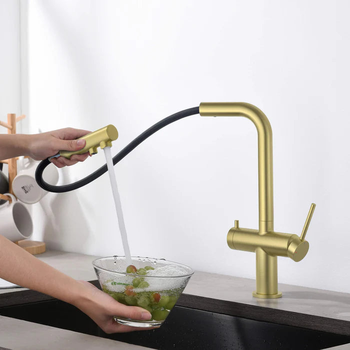 Casa Fixtures - Kitchen Faucet - Halo 2-in-1 Pull Out Kitchen Filtration Faucet (CFF-502)