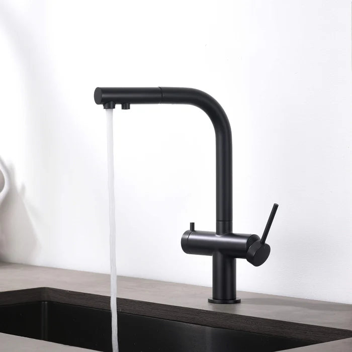 Casa Fixtures - Kitchen Faucet - Halo 2-in-1 Pull Out Kitchen Filtration Faucet (CFF-502)