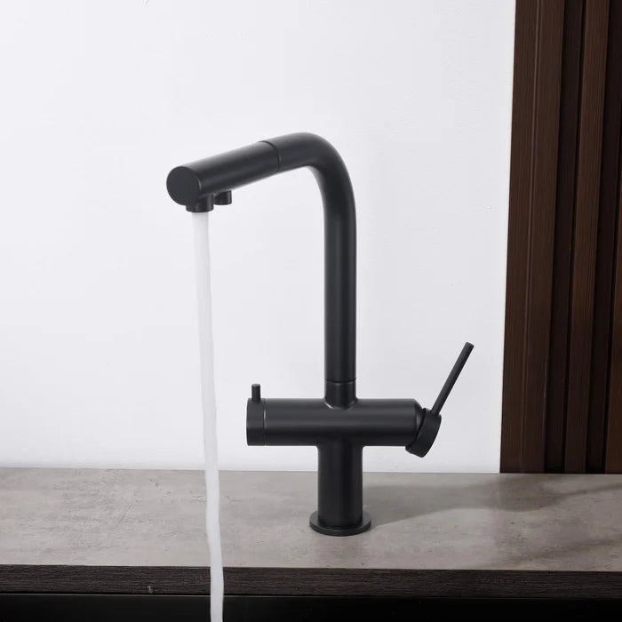 Casa Fixtures - Kitchen Faucet - Halo 2-in-1 Pull Out Kitchen Filtration Faucet (CFF-502)
