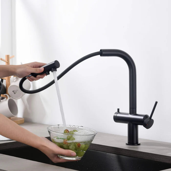 Casa Fixtures - Kitchen Faucet - Halo 2-in-1 Pull Out Kitchen Filtration Faucet (CFF-502)