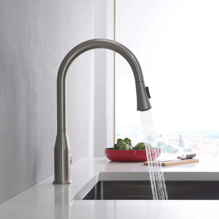 Casa Fixtures - Kitchen Faucet - Mesa Single Handle Pull Down Kitchen Sink Faucet (CKF-2005)