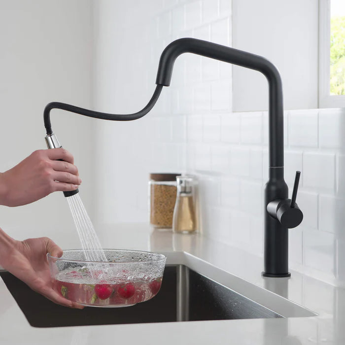 Casa Fixtures - Kitchen Faucet - Tampa Single Handle Pull Down Kitchen Sink Faucet (CKF-2007)
