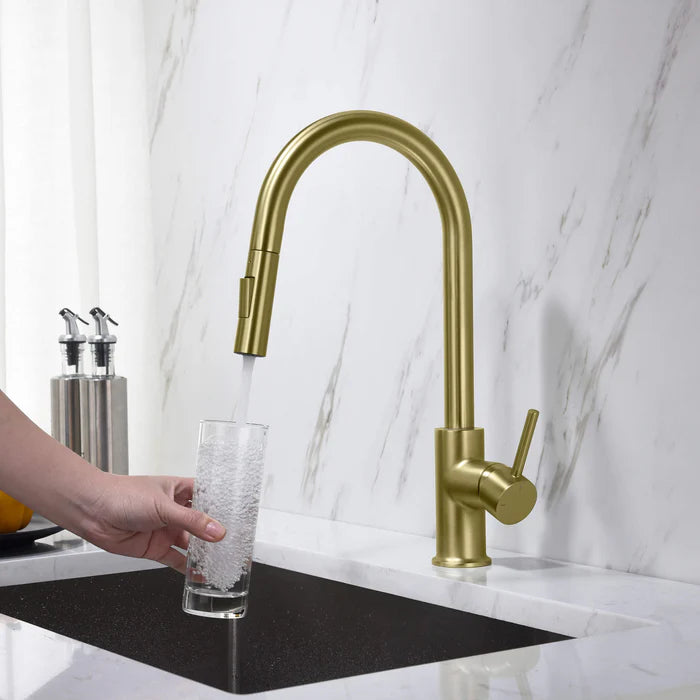 Casa Fixtures - Kitchen Faucet - Halo Single Handle Pull Down Kitchen Faucet (CKF-2013)