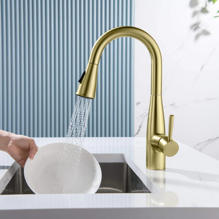 Casa Fixtures - Kitchen Faucet - Plano Single Handle Pull Down Kitchen & Bar Sink Faucet (CKF-2015)