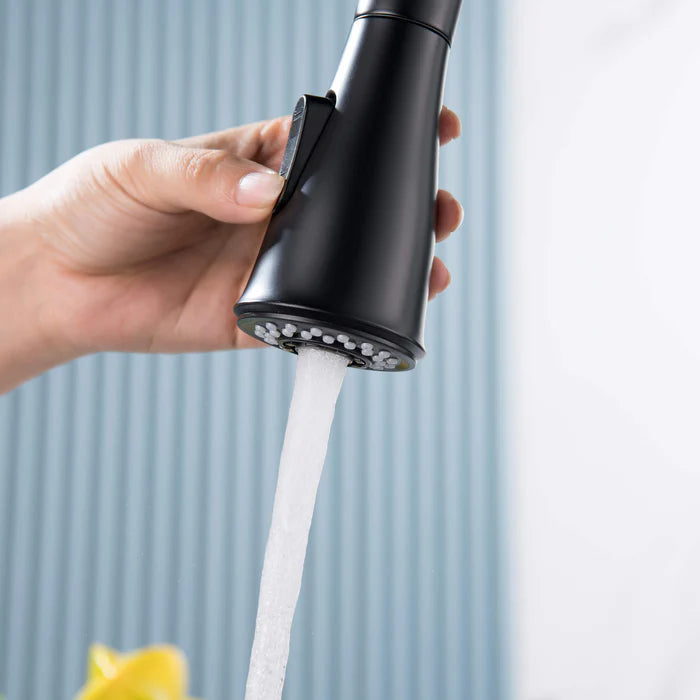 Casa Fixtures - Kitchen Faucet - Plano Single Handle Pull Down Kitchen & Bar Sink Faucet (CKF-2015)