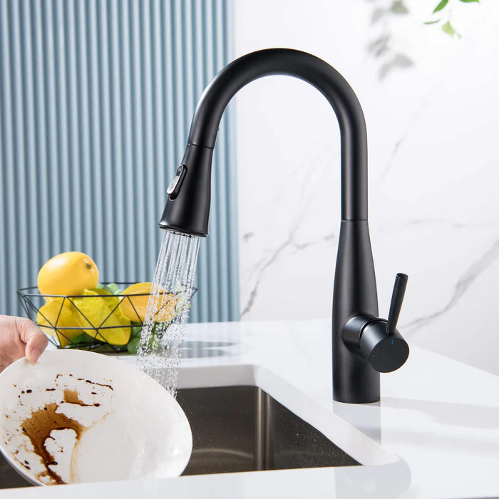 Casa Fixtures - Kitchen Faucet - Plano Single Handle Pull Down Kitchen & Bar Sink Faucet (CKF-2015)