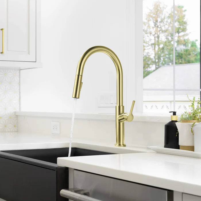 Casa Fixtures - Kitchen Faucet - Neo Single Handle Pull Down Kitchen Sink Faucet (CKF-2018)