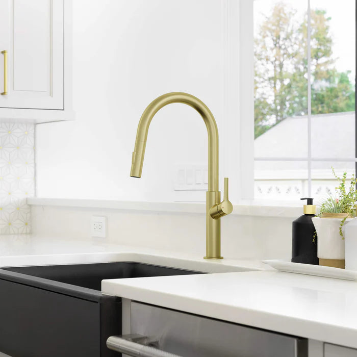 Casa Fixtures - Kitchen Faucet - Neo Single Handle Pull Down Kitchen Sink Faucet (CKF-2018)