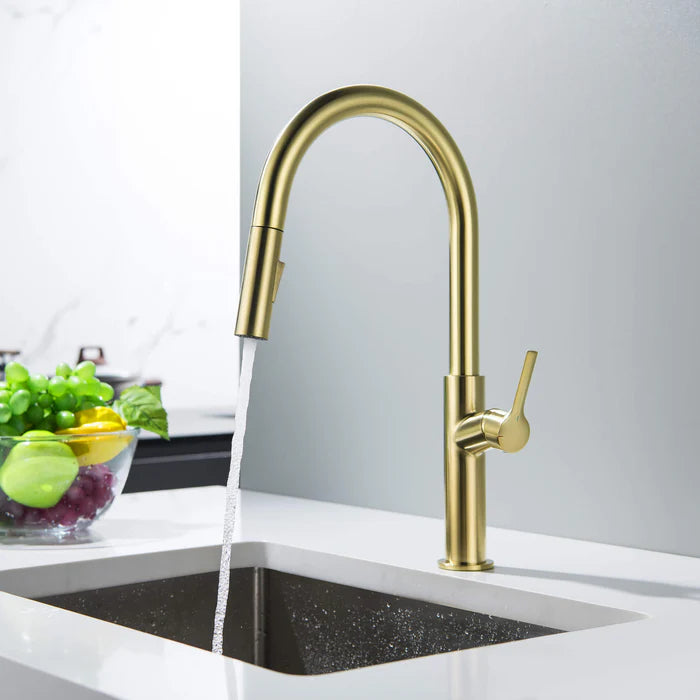 Casa Fixtures - Kitchen Faucet - Neo Single Handle Pull Down Kitchen Sink Faucet (CKF-2018)