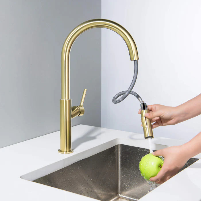 Casa Fixtures - Kitchen Faucet - Neo Single Handle Pull Down Kitchen Sink Faucet (CKF-2018)