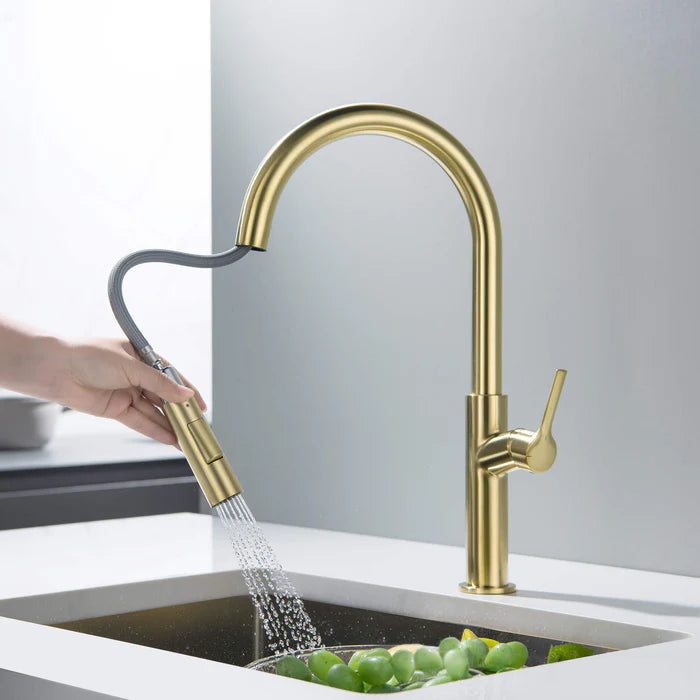 Casa Fixtures - Kitchen Faucet - Neo Single Handle Pull Down Kitchen Sink Faucet (CKF-2018)