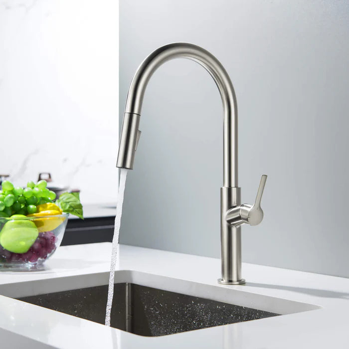 Casa Fixtures - Kitchen Faucet - Neo Single Handle Pull Down Kitchen Sink Faucet (CKF-2018)