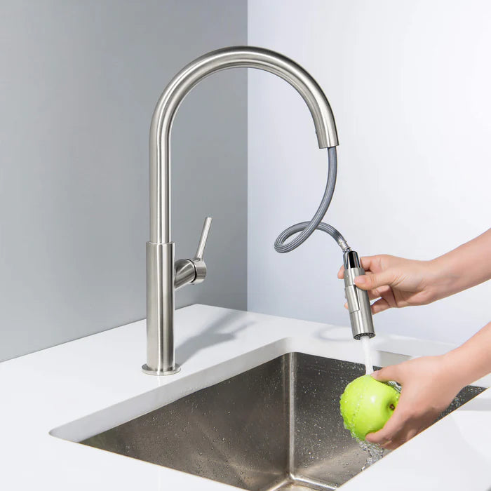 Casa Fixtures - Kitchen Faucet - Neo Single Handle Pull Down Kitchen Sink Faucet (CKF-2018)