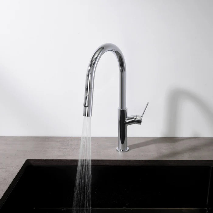 Casa Fixtures - Kitchen Faucet - Neo Single Handle Pull Down Kitchen Sink Faucet (CKF-2018)