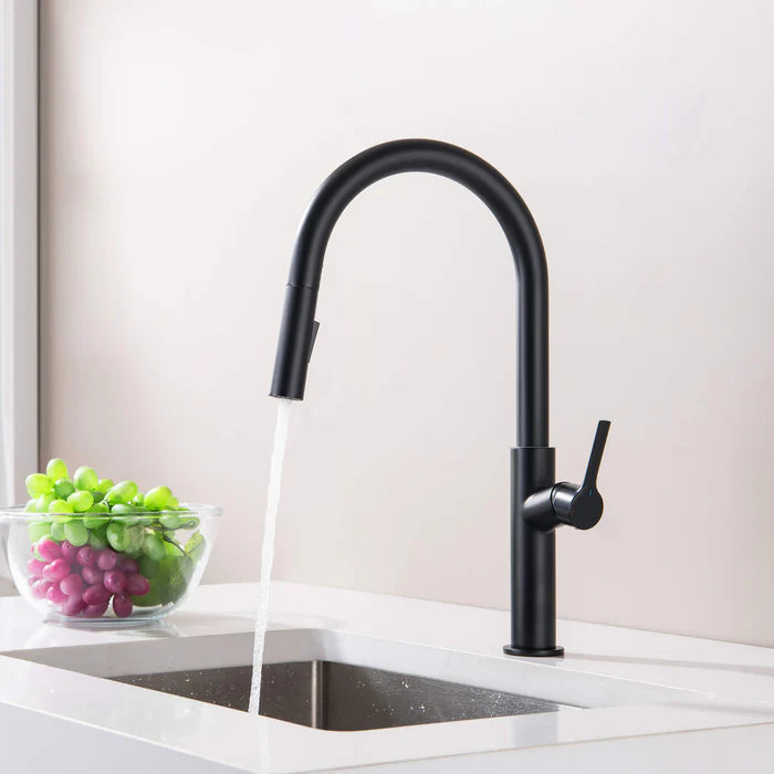 Casa Fixtures - Kitchen Faucet - Neo Single Handle Pull Down Kitchen Sink Faucet (CKF-2018)