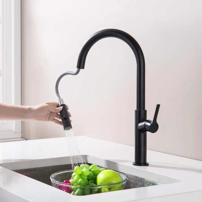Casa Fixtures - Kitchen Faucet - Neo Single Handle Pull Down Kitchen Sink Faucet (CKF-2018)