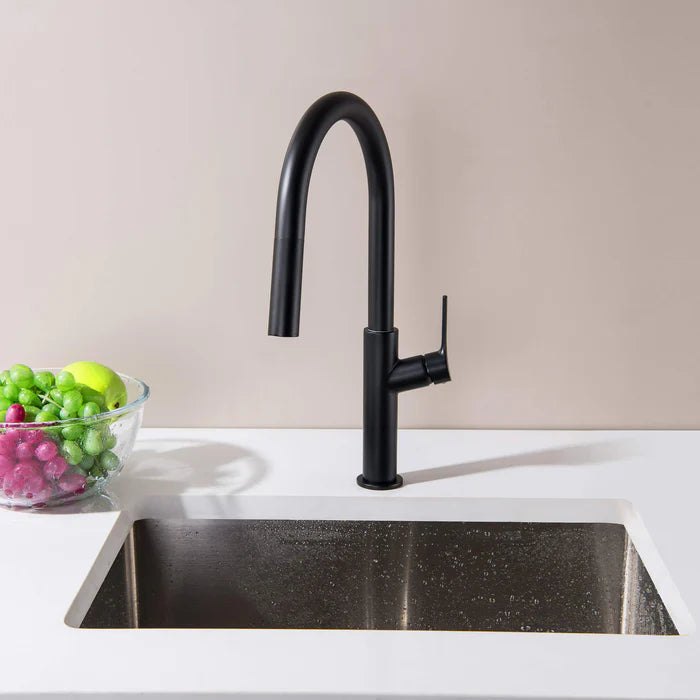 Casa Fixtures - Kitchen Faucet - Neo Single Handle Pull Down Kitchen Sink Faucet (CKF-2018)