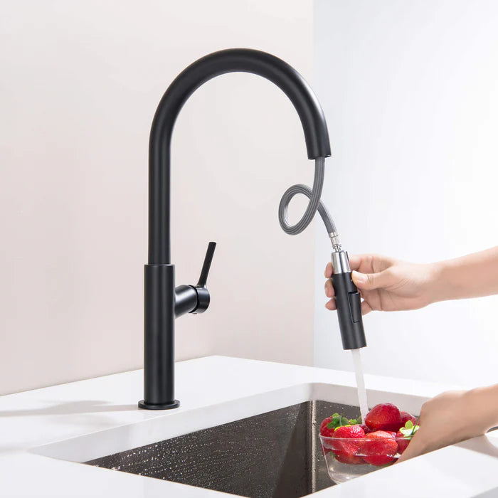 Casa Fixtures - Kitchen Faucet - Neo Single Handle Pull Down Kitchen Sink Faucet (CKF-2018)