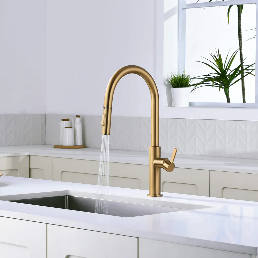 Casa Fixtures - Kitchen Faucet - Neo Single Handle Pull Down Kitchen Faucet (CKF-2019)
