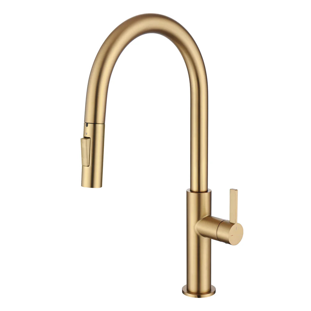 Casa Fixtures - Kitchen Faucet - Neo Single Handle Pull Down Kitchen Faucet (CKF-2019)