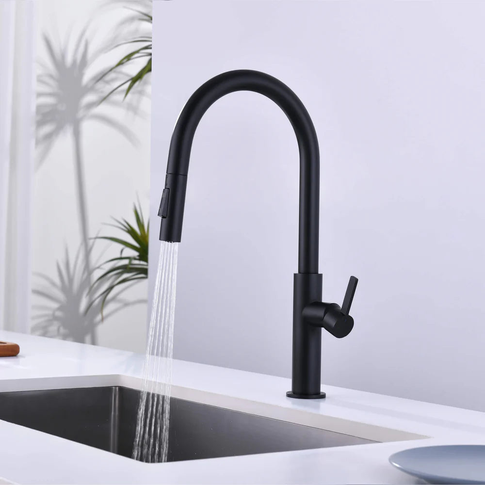Casa Fixtures - Kitchen Faucet - Neo Single Handle Pull Down Kitchen Faucet (CKF-2019)