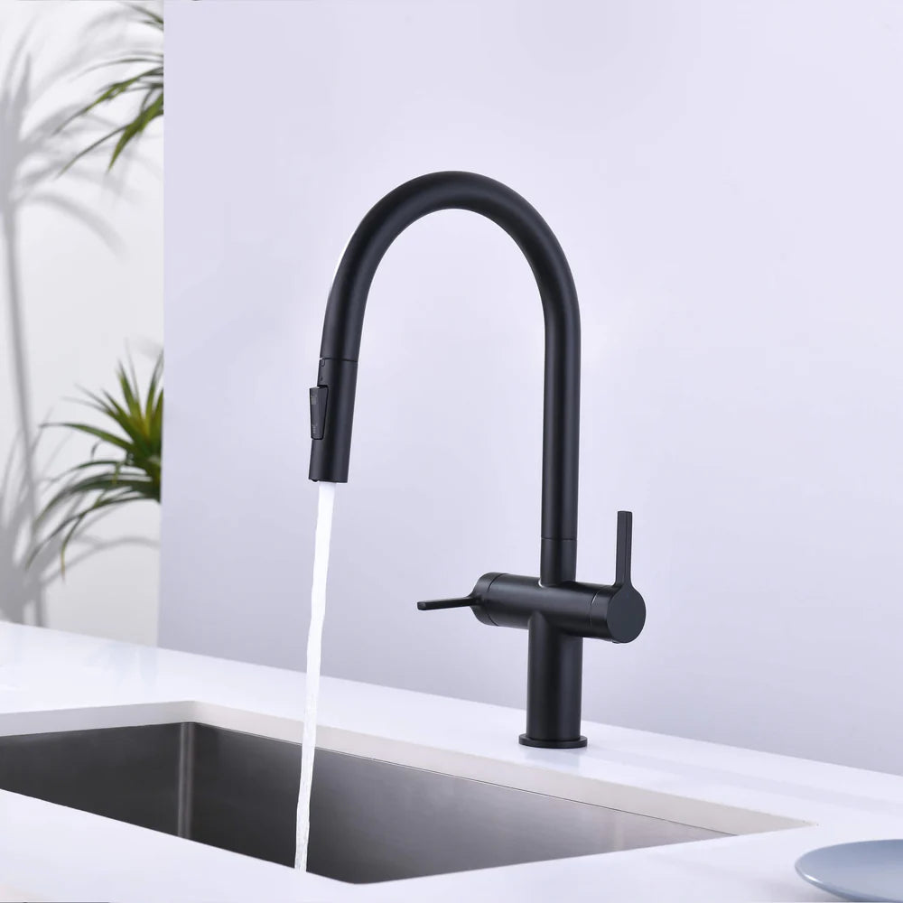 Casa Fixtures - Kitchen Faucet - Neo Single Hole Two Handle Pull Down Kitchen Faucet (CKF-2020)