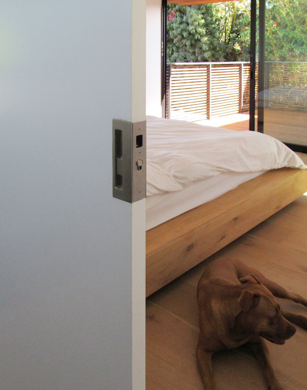 Cavity Sliders - CaviLock CL400 - Key Locking Magnetic Pocket Door Pull Handle