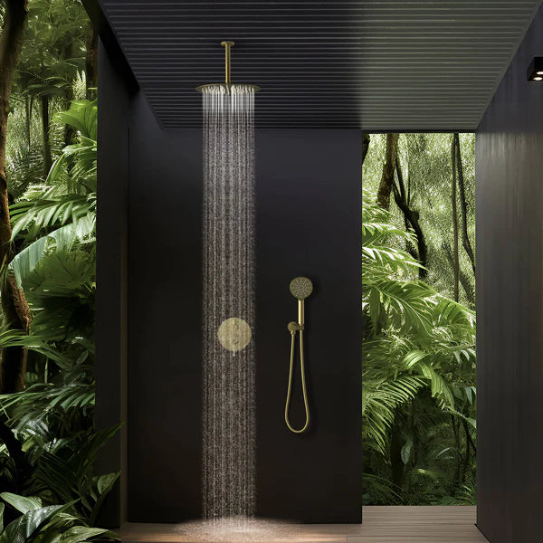 Casa Fixtures - Shower Faucets - Halo Pressure Balanced 2-Function Ceiling Mount Shower System with Rough-in Valve (CSF-4008)