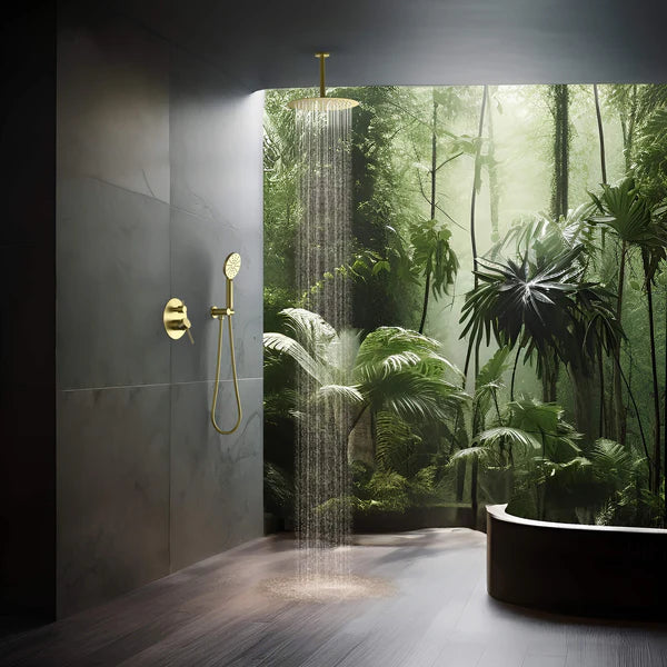 Casa Fixtures - Shower Faucets - Halo Pressure Balanced 2-Function Ceiling Mount Shower System with Rough-in Valve (CSF-4008)