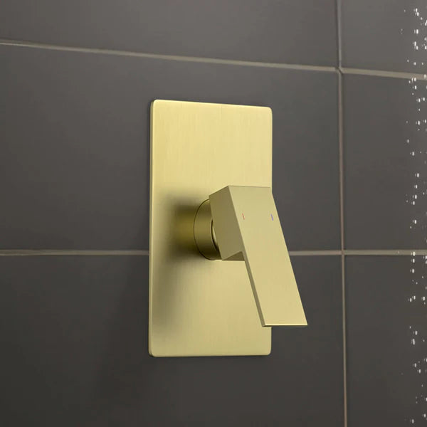 Casa Fixtures - Valve Trim Plate - Quadro Single Function Rough-in Valve Trim Plate (SVT2-1)