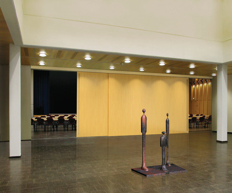 Hafele HAWA Junior 250/A Sliding Door Hardware Set (Track NOT Included)