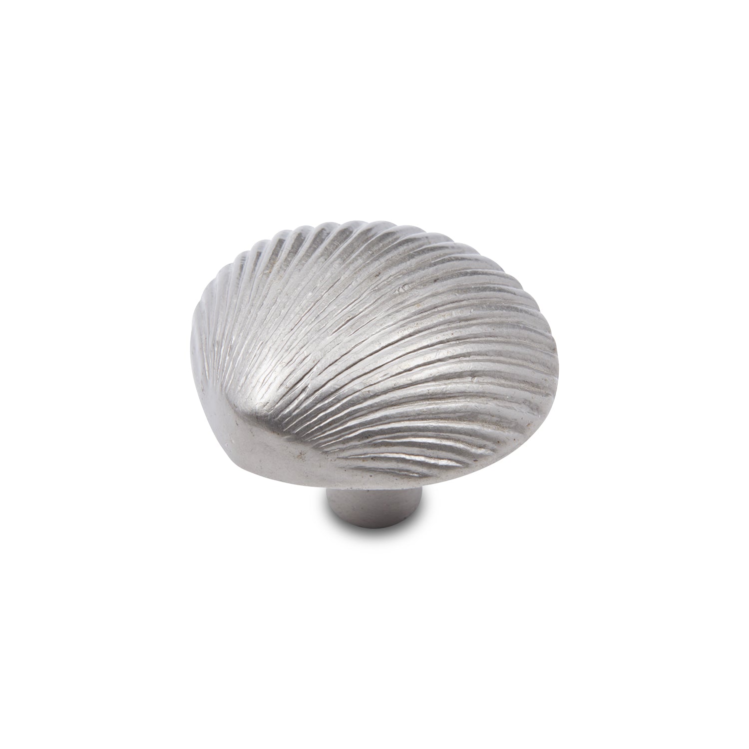 RK International - Novelty - Shell Cabinet Knob