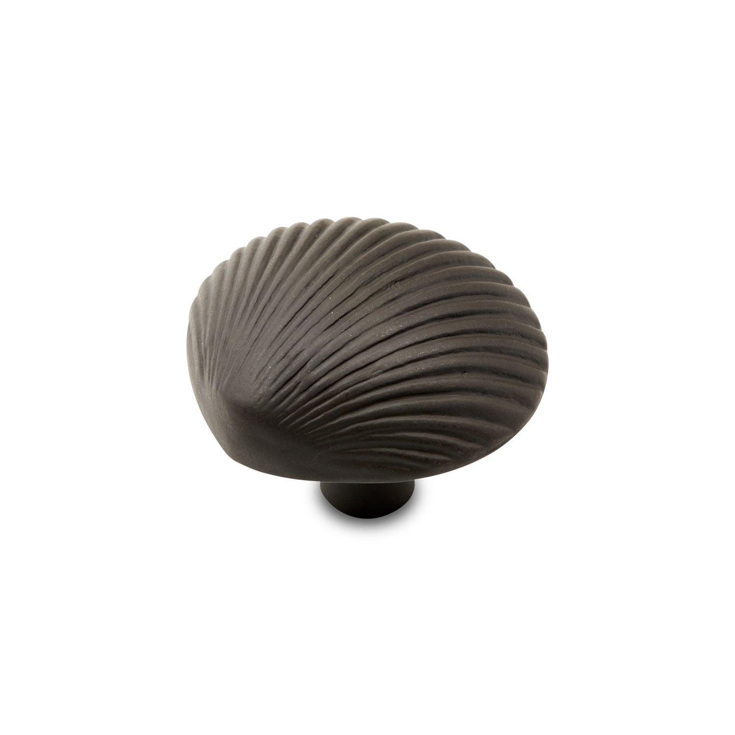RK International - Novelty - Shell Cabinet Knob