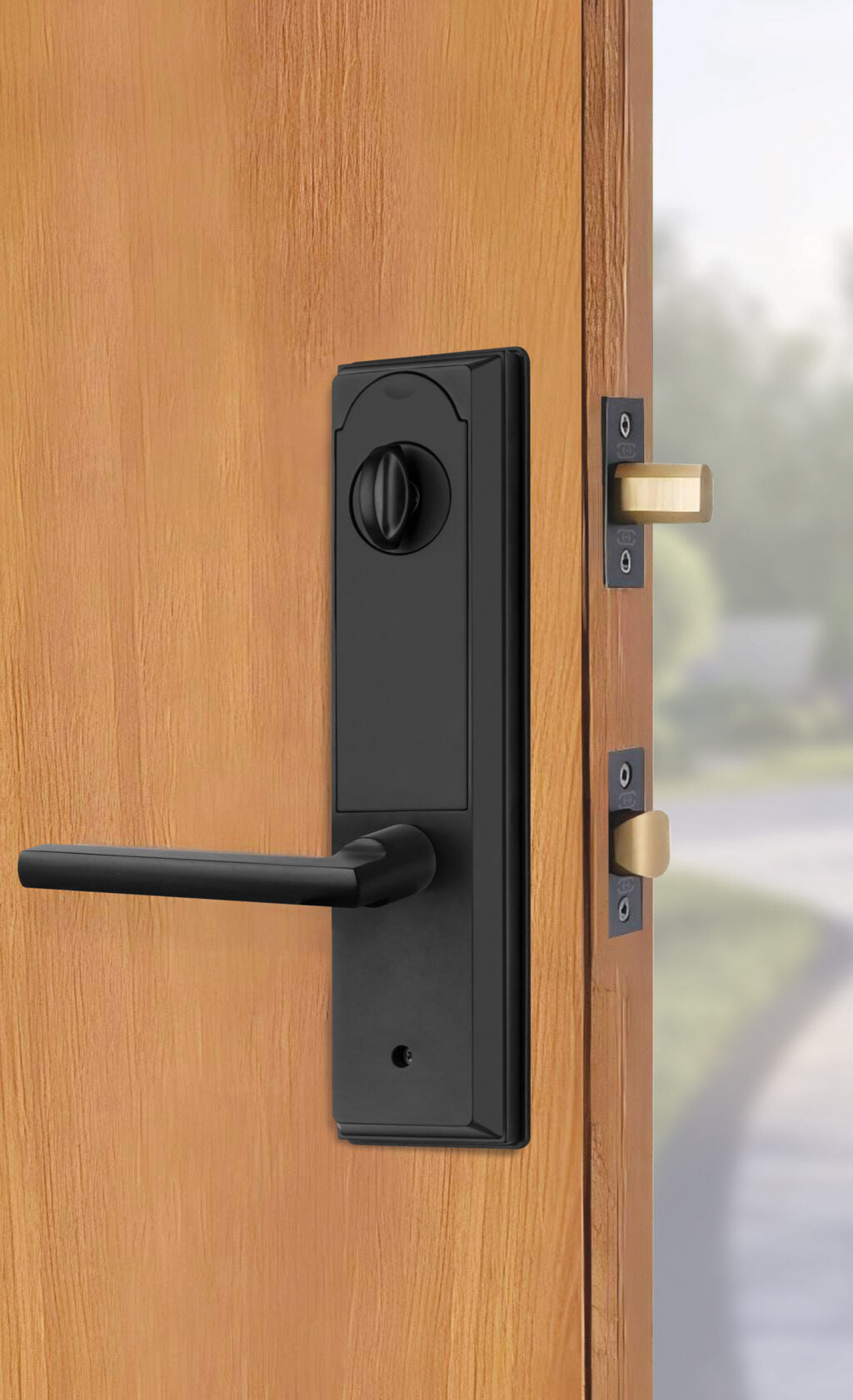 Omnia - Electronic Handleset - 8669 EOMNIA Digital Smart Lock