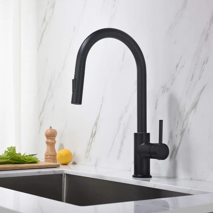 Casa Fixtures - Kitchen Faucet - Halo Single Handle Pull Down Kitchen Faucet (CKF-2013)