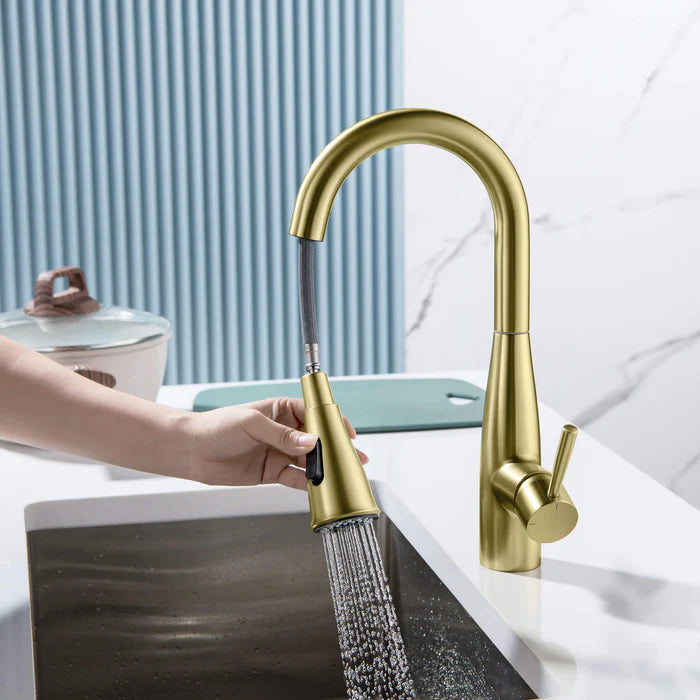 Casa Fixtures - Kitchen Faucet - Plano Single Handle Pull Down Kitchen & Bar Sink Faucet (CKF-2015)