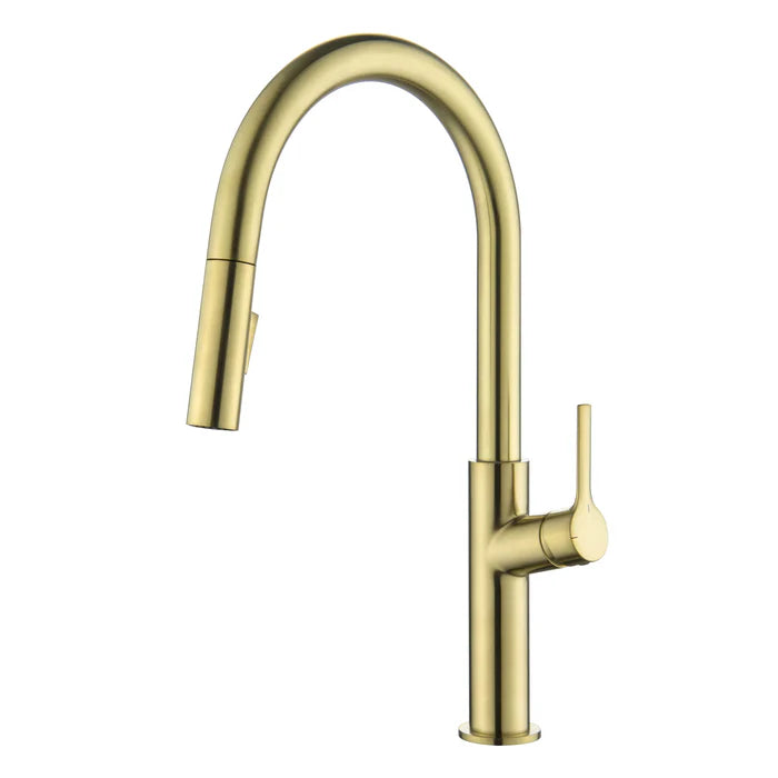 Casa Fixtures - Kitchen Faucet - Neo Single Handle Pull Down Kitchen Sink Faucet (CKF-2018)