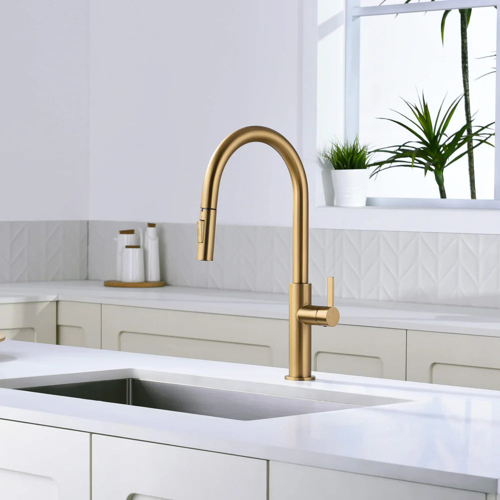 Casa Fixtures - Kitchen Faucet - Neo Single Handle Pull Down Kitchen Faucet (CKF-2019)
