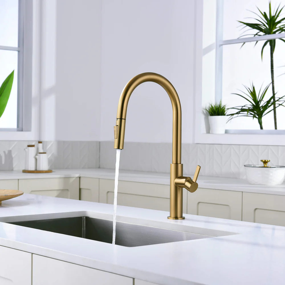 Casa Fixtures - Kitchen Faucet - Neo Single Handle Pull Down Kitchen Faucet (CKF-2019)