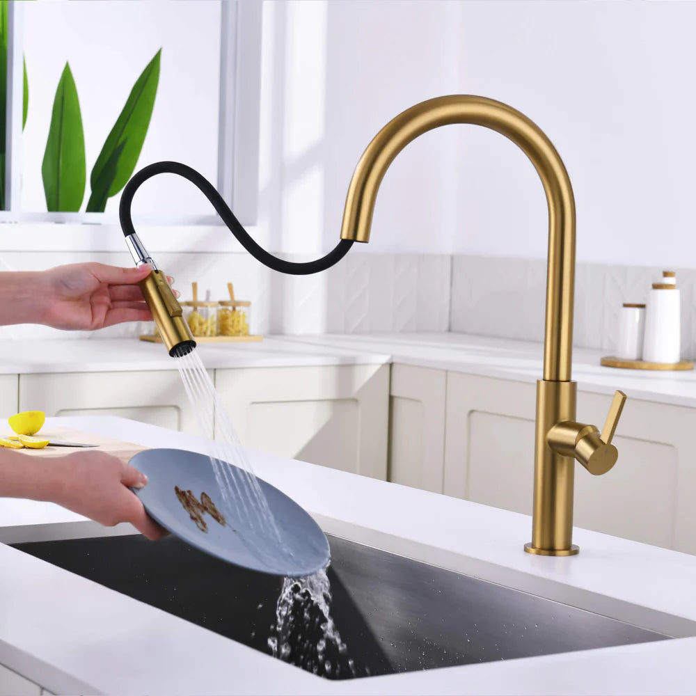 Casa Fixtures - Kitchen Faucet - Neo Single Handle Pull Down Kitchen Faucet (CKF-2019)