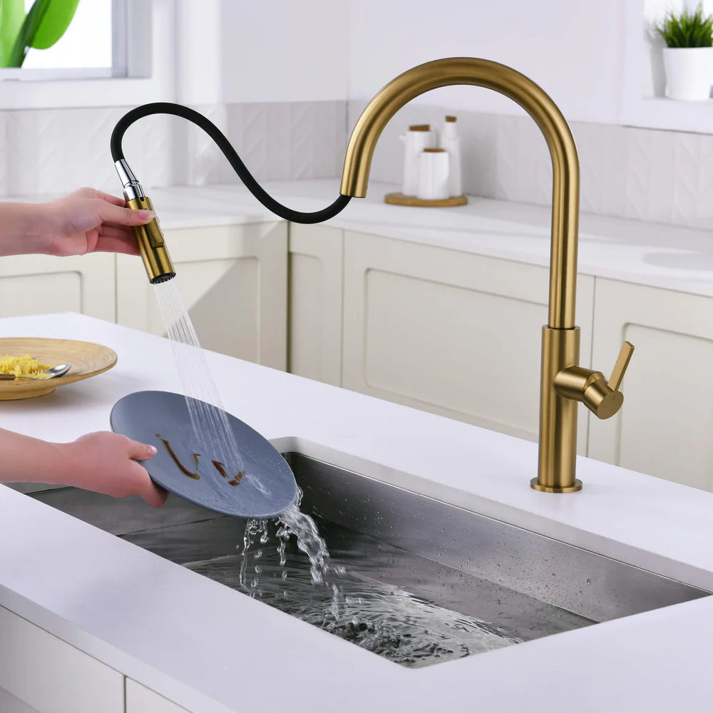 Casa Fixtures - Kitchen Faucet - Neo Single Handle Pull Down Kitchen Faucet (CKF-2019)