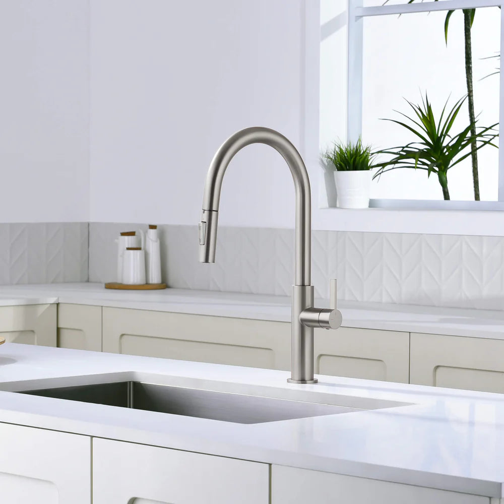 Casa Fixtures - Kitchen Faucet - Neo Single Handle Pull Down Kitchen Faucet (CKF-2019)