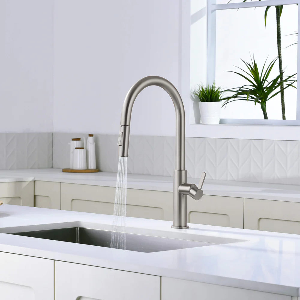 Casa Fixtures - Kitchen Faucet - Neo Single Handle Pull Down Kitchen Faucet (CKF-2019)