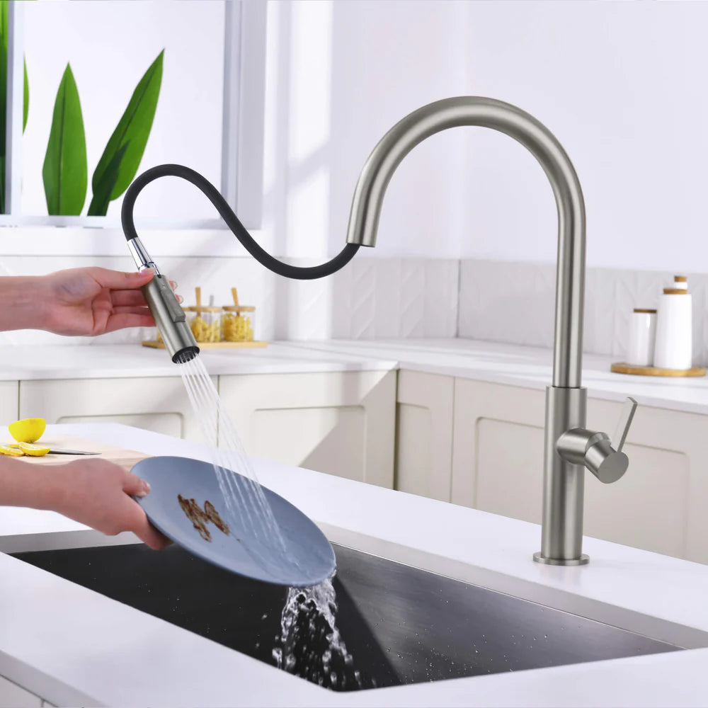 Casa Fixtures - Kitchen Faucet - Neo Single Handle Pull Down Kitchen Faucet (CKF-2019)