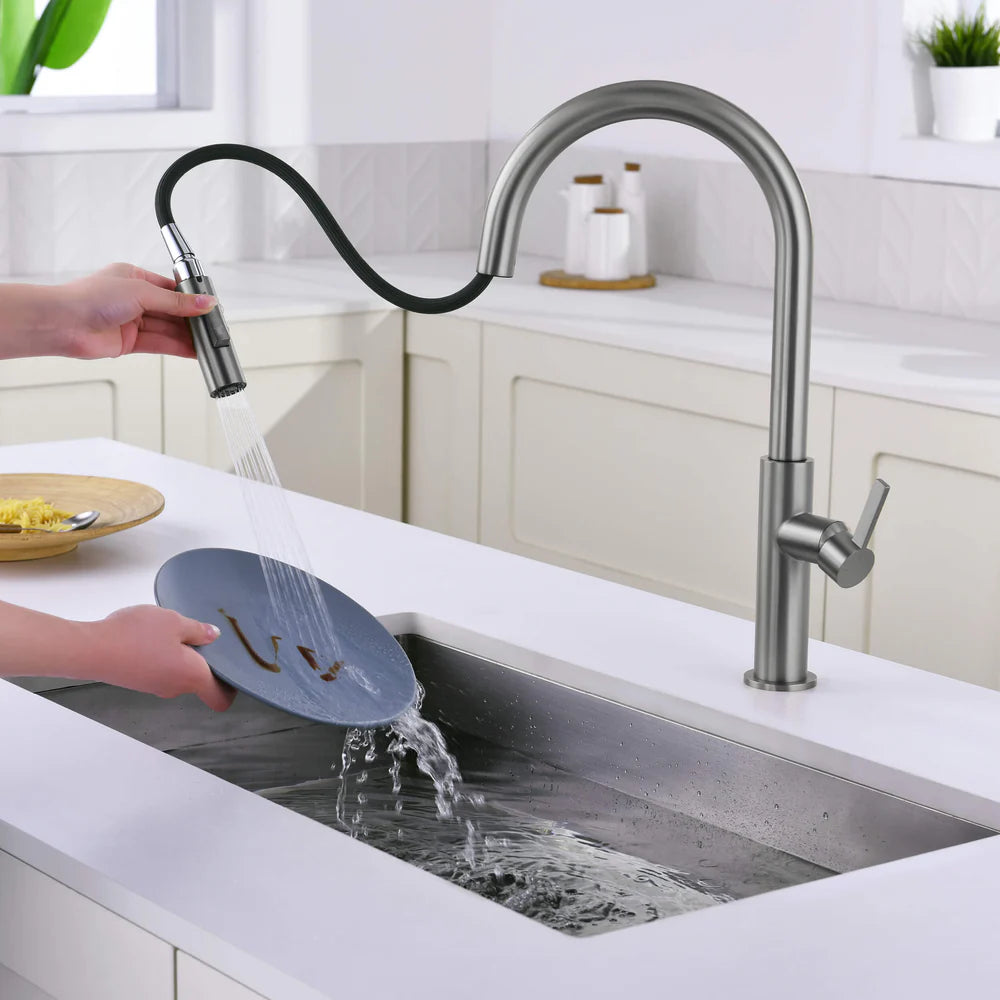 Casa Fixtures - Kitchen Faucet - Neo Single Handle Pull Down Kitchen Faucet (CKF-2019)