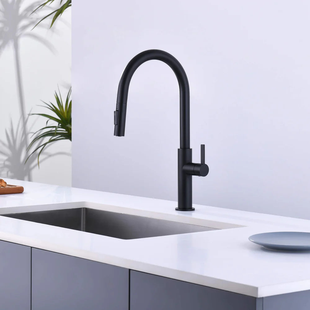 Casa Fixtures - Kitchen Faucet - Neo Single Handle Pull Down Kitchen Faucet (CKF-2019)