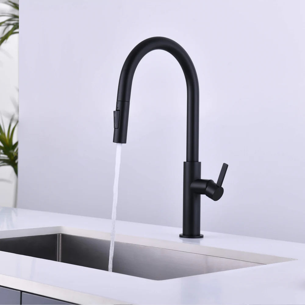 Casa Fixtures - Kitchen Faucet - Neo Single Handle Pull Down Kitchen Faucet (CKF-2019)