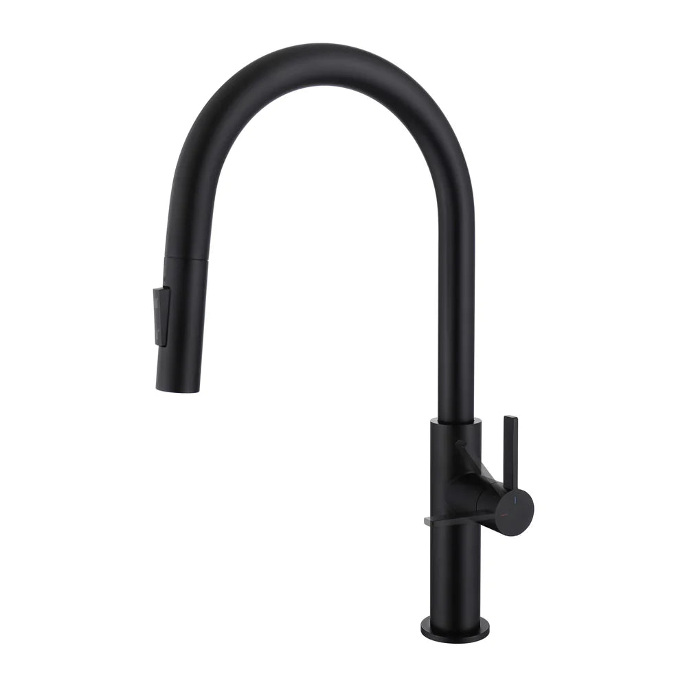 Casa Fixtures - Kitchen Faucet - Neo Single Handle Pull Down Kitchen Faucet (CKF-2019)