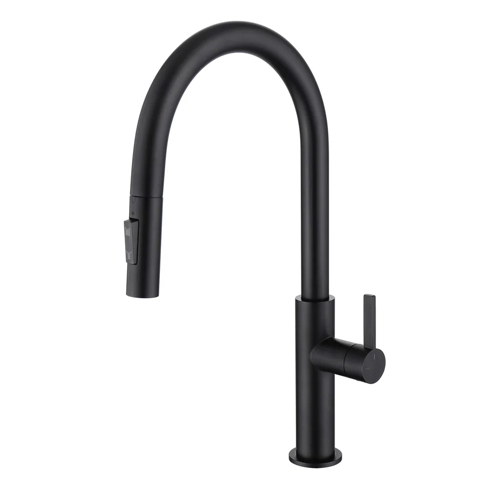 Casa Fixtures - Kitchen Faucet - Neo Single Handle Pull Down Kitchen Faucet (CKF-2019)